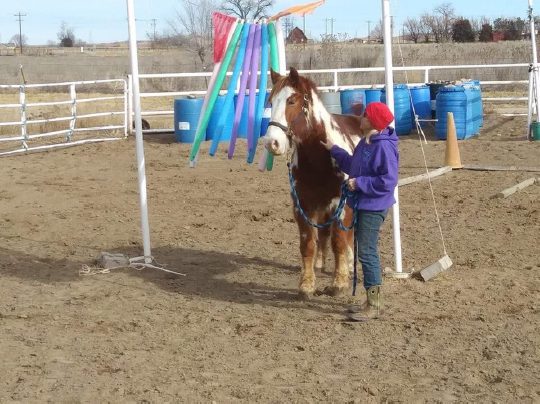 Hemp For People and Horses - Testimonials