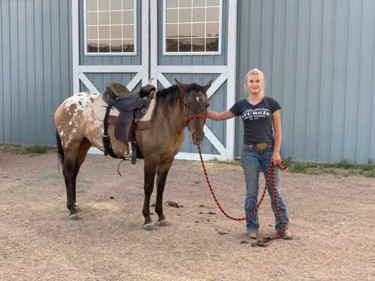 FX3-Performance-Horses-Training-Fanta-scaled