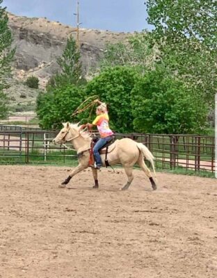 FX3-Performance-Horses-Training-Photo-Sep-29-1-59-39-PM