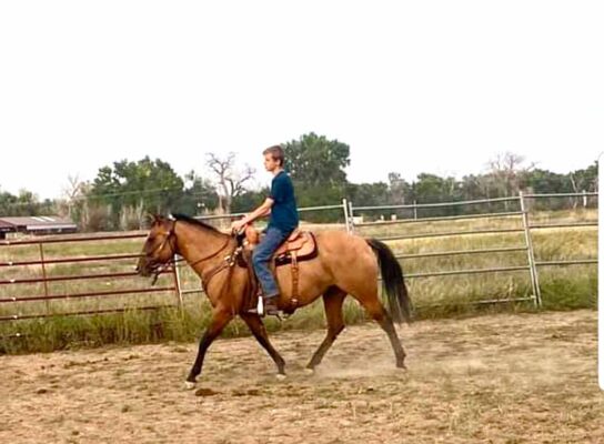FX3-Performance-Horses-Training-Photo-Sep-29-12-48-33-PM