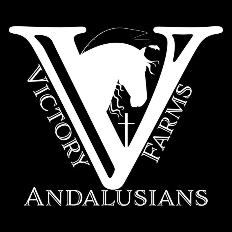 Victory Farms Andalusians-Camelio Ang II-Stacy Adams