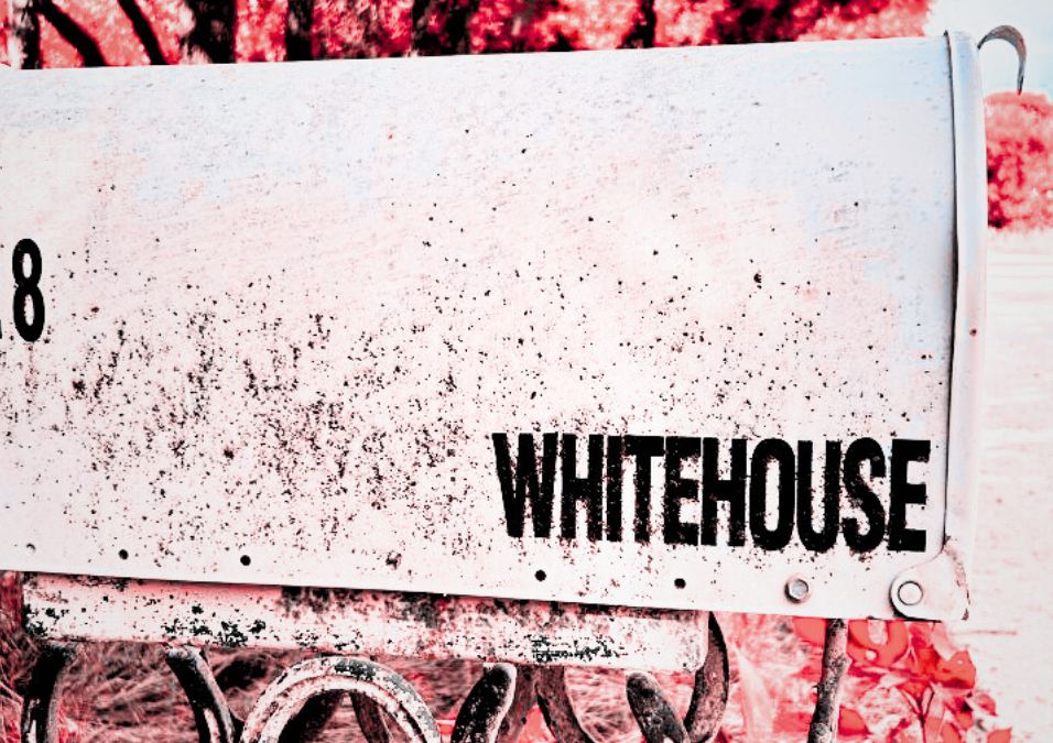 Image of white mail box with White House letters on it_Level Up-poem by Dawn Francis_Rebel-Faith