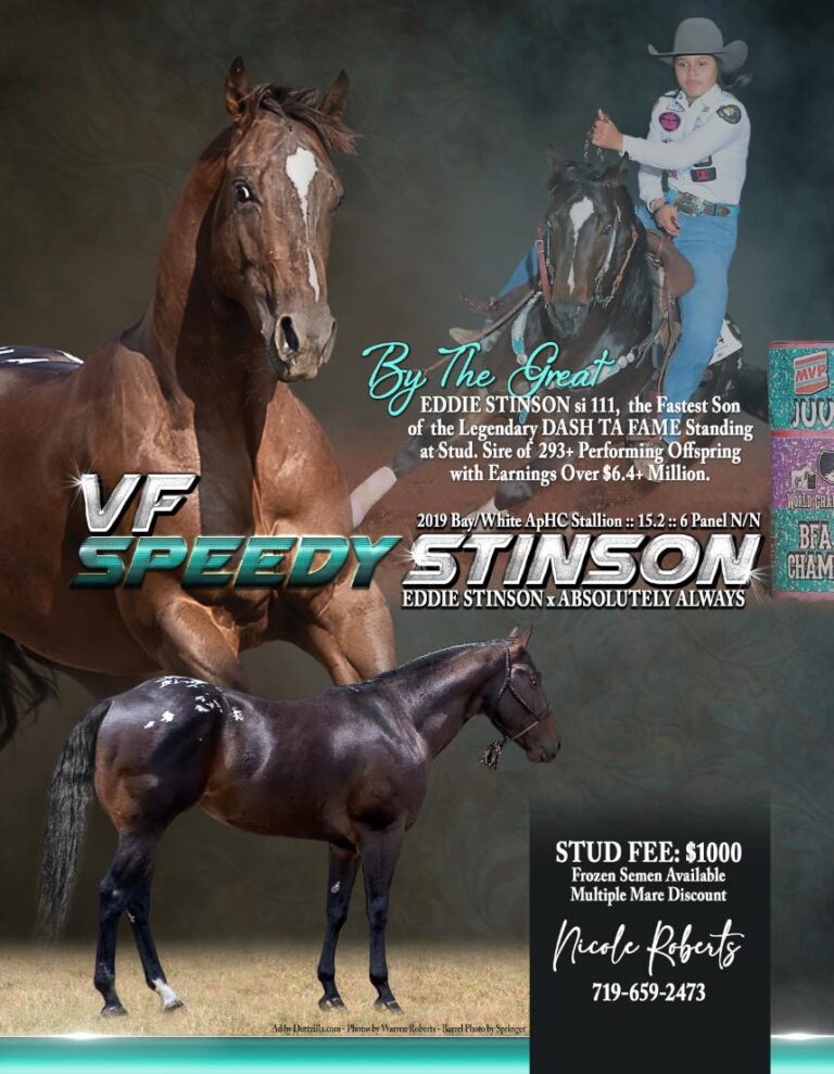 VFSPEEDY STINSON_BTs Spotted Pride Farm_Roberts Family_Rocky Mtn Girls_MTNMN