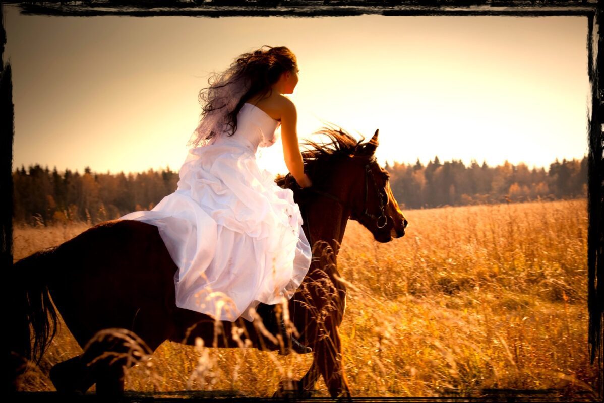 Bride galloping on horse across golden field under setting sun_Angelworks_Angel Tongue sings praise to God_Dawn Francis_Rebel-Faith
