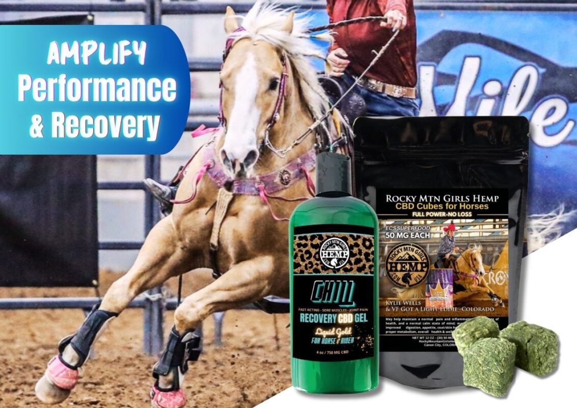 AMPLIFY Performnce & Recovery with RockyMtnGirls hemp CBD Cubes for Horses & CBD Topicals for horse & Rider_Kylie Wells & VF Got A Light Eddie-Eddison
