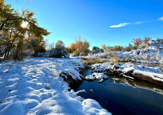 Fourmile Creek-Canon City Colorado-November 9-2024 snow fall photo by Dawn Francis-Rebel-Faith