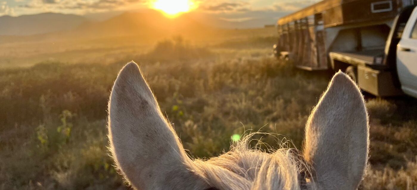 Photography by Farra Francis_Rebel-Faith_RanchnVibes_2023