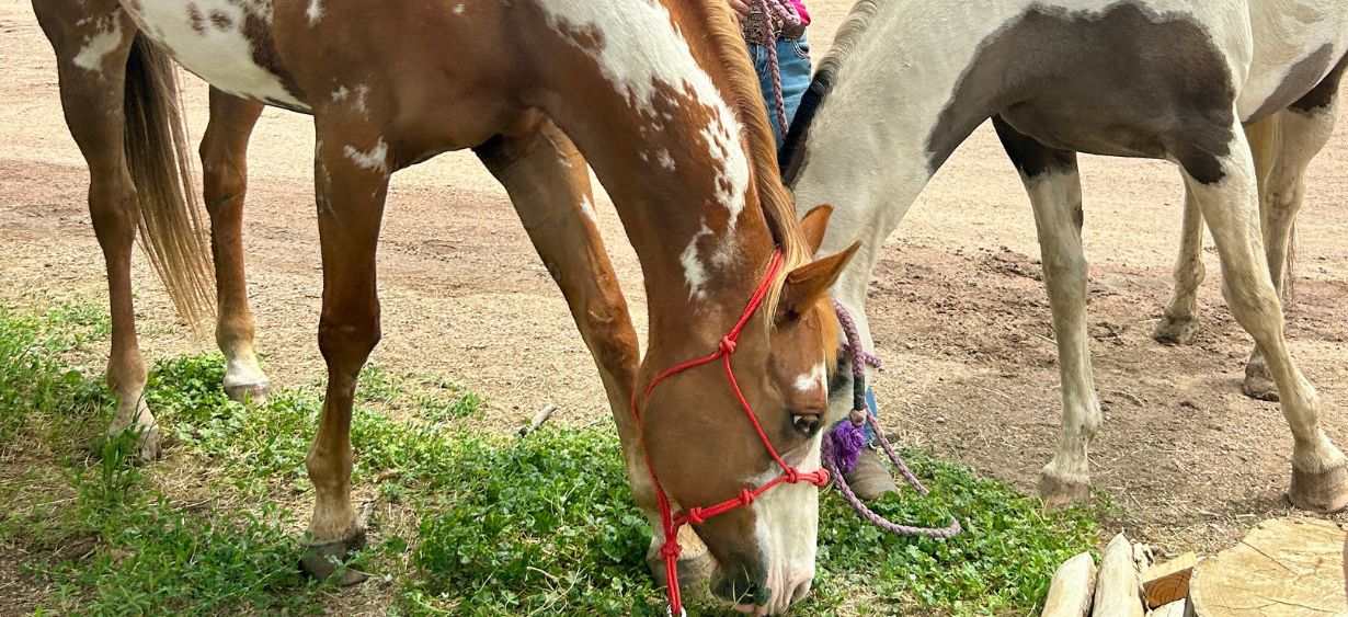 MTNMN Ranch Tours Canon City CO_RanchnVibes_12