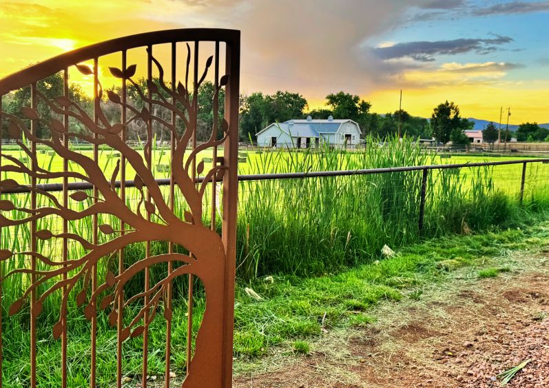 MTNMN Ranch Tours Canon City CO_RanchnVibes_1a