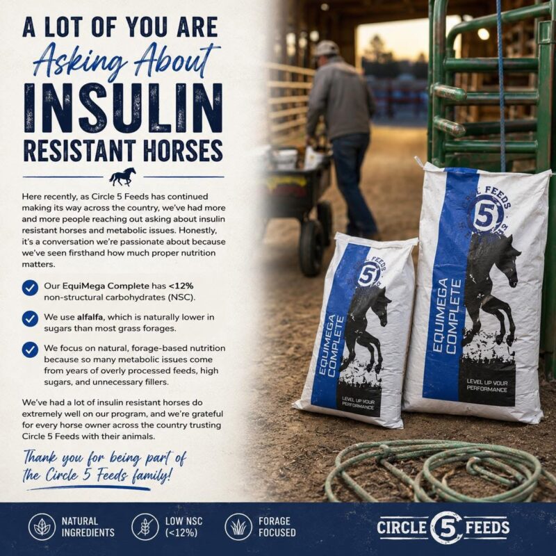 Insulin Resistance-Circle 5 Feeds-EquiMega complete Alfalfa Forage base pellets