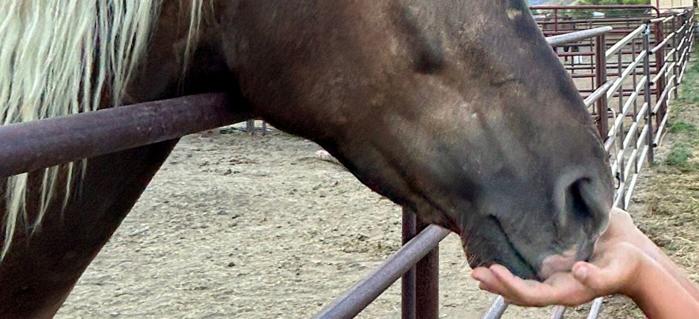 Rowan at MTNMN Ranch Experience-Canon City CO